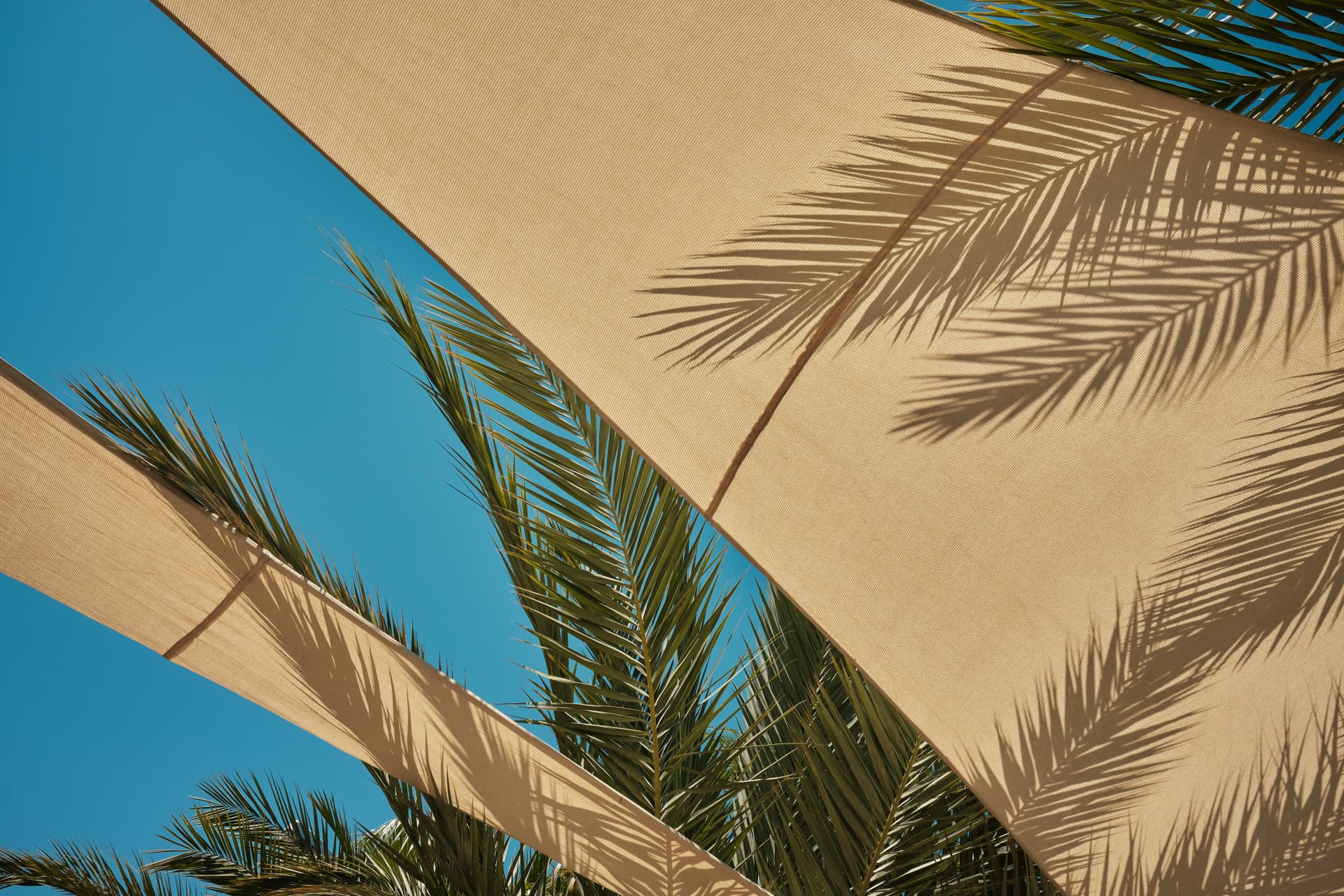 Rainbow Shade case study