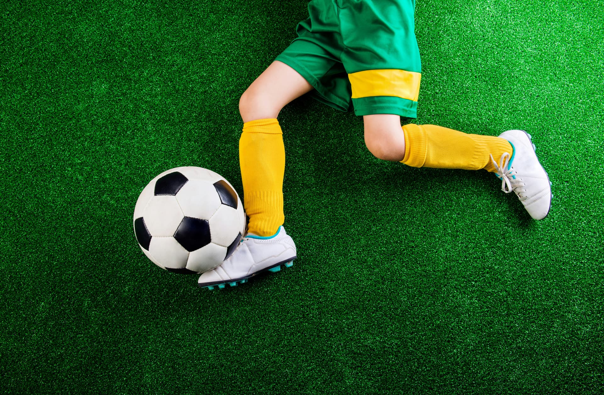 A1 Artificial Grass case study