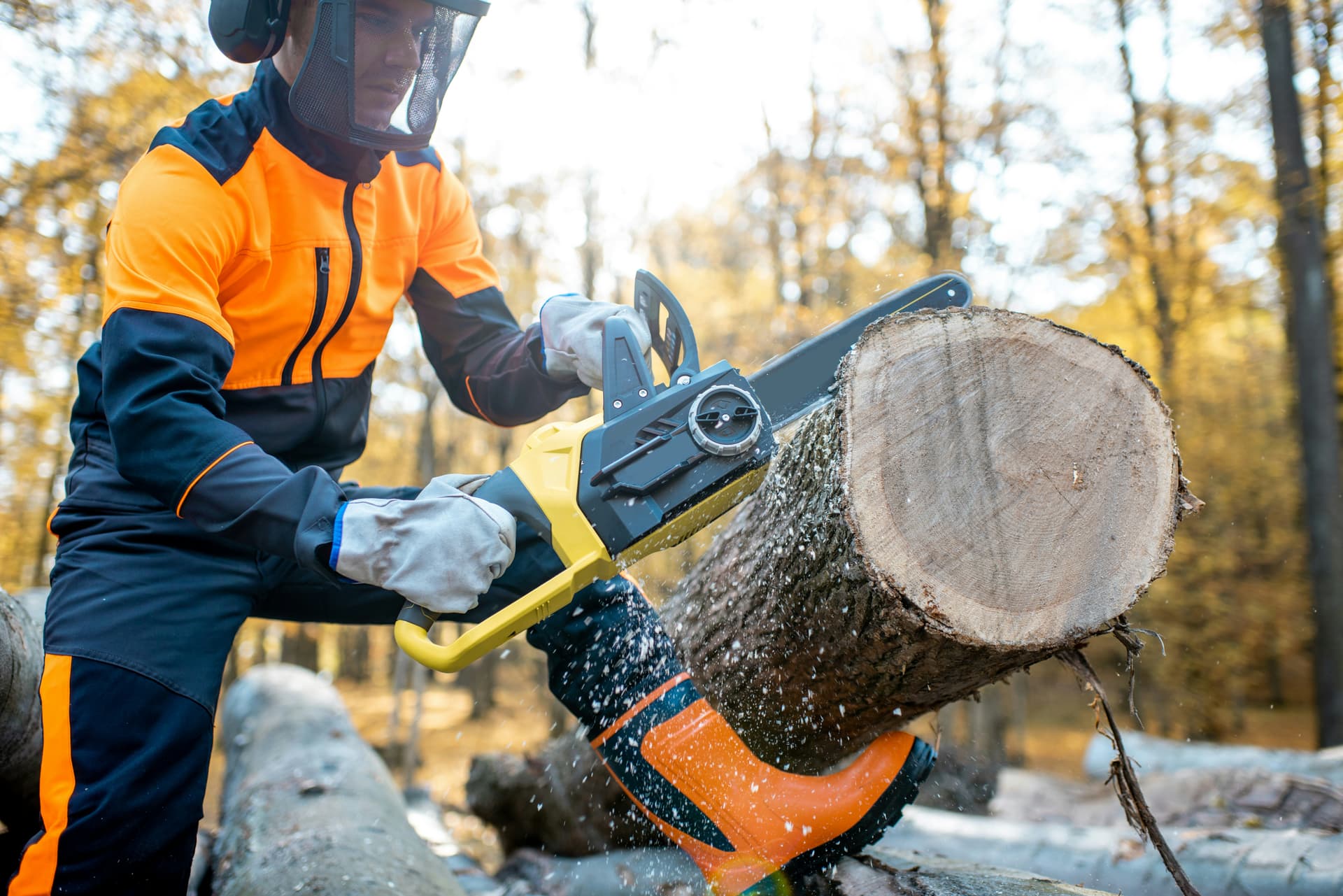 Adelaide Arborists hero